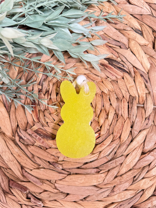 Car Freshie | Cactus Candy Scent