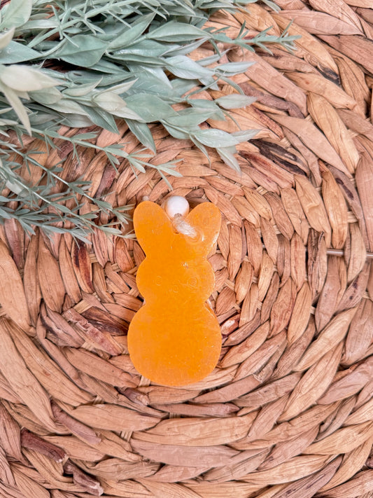 Car Freshie | Cactus Candy Scent