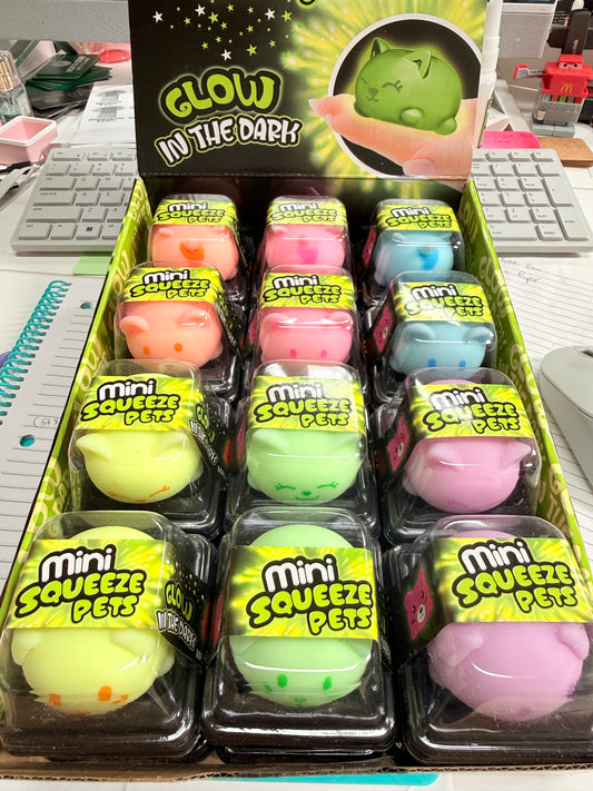 Glow in the Dark Squish Pets